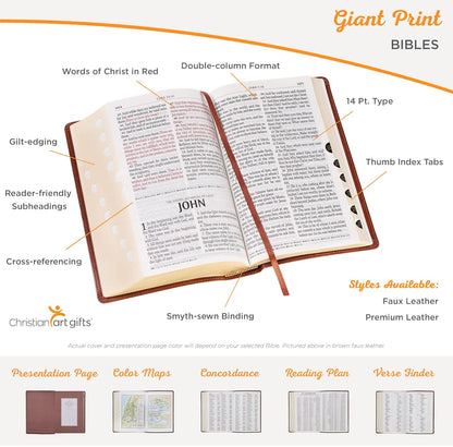 Giant Print pink Bible