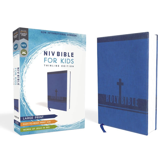 Boys Blue  Bible